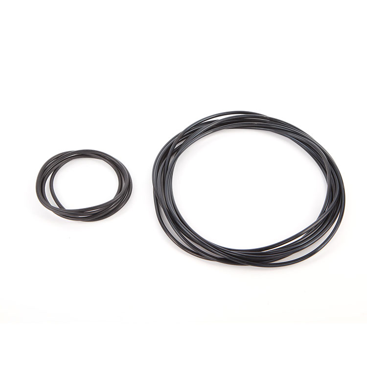 Fluoro Karet O-Ring