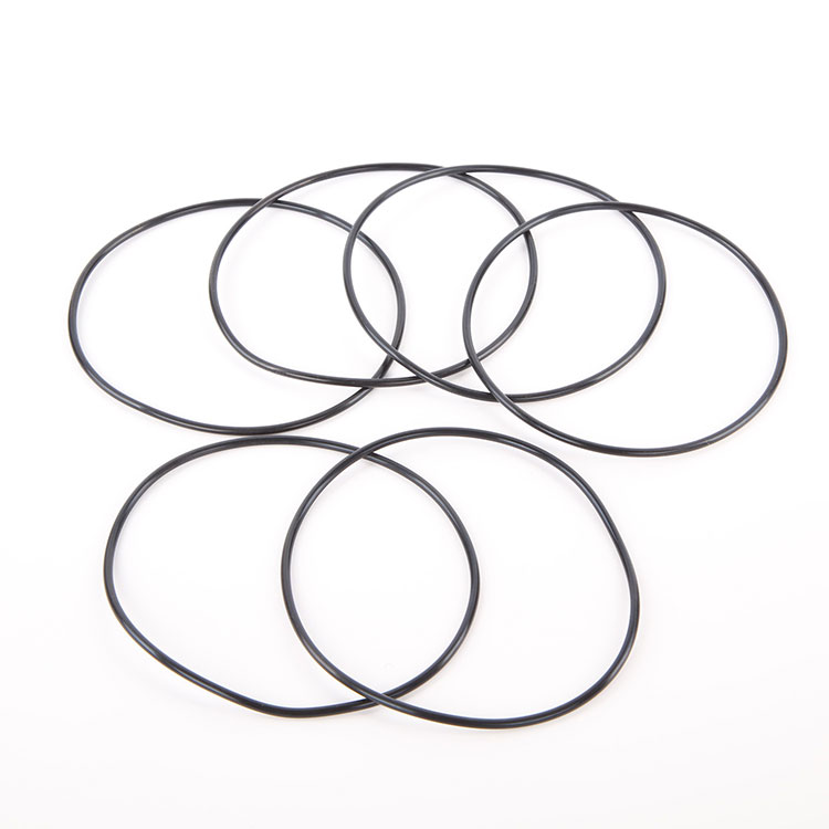 O-ring ing karet fluorine
